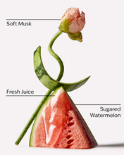 Cargar imagen en el visor de la galería, BATH AND BODY WORKS watermelon whirl FRUIT FUSIÓN