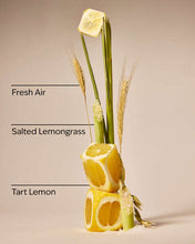 Cargar imagen en el visor de la galería, BATH AND BODY WORKS Concentrated Room Spray
