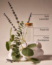 Cargar imagen en el visor de la galería, BATH AND BODY WORKS Concentrated Room Spray
