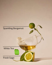 Cargar imagen en el visor de la galería, White Tea &amp; Sage Gentle &amp; Clean Foaming Hand Soap - Bath &amp; Body Works
