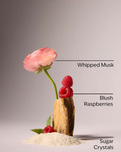 Cargar imagen en el visor de la galería, BATH AND BODY WORKS sweetest song
