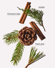 Cargar imagen en el visor de la galería, BATH AND BODY WORKS cinnamon pinecone
