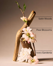 Cargar imagen en el visor de la galería, BATH AND BODY WORKS dressed in white TRAVEL SIZE

